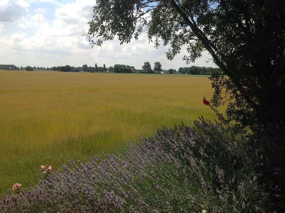 Dijkhuisje Zeeland Waterlandkerkje Exterior foto
